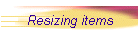 Resizing items